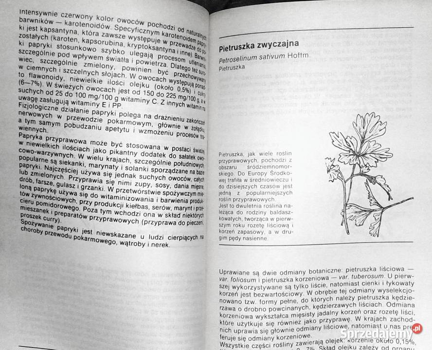 Ziołowe przyprawy kuchenne Zenon Węglarz Chełm