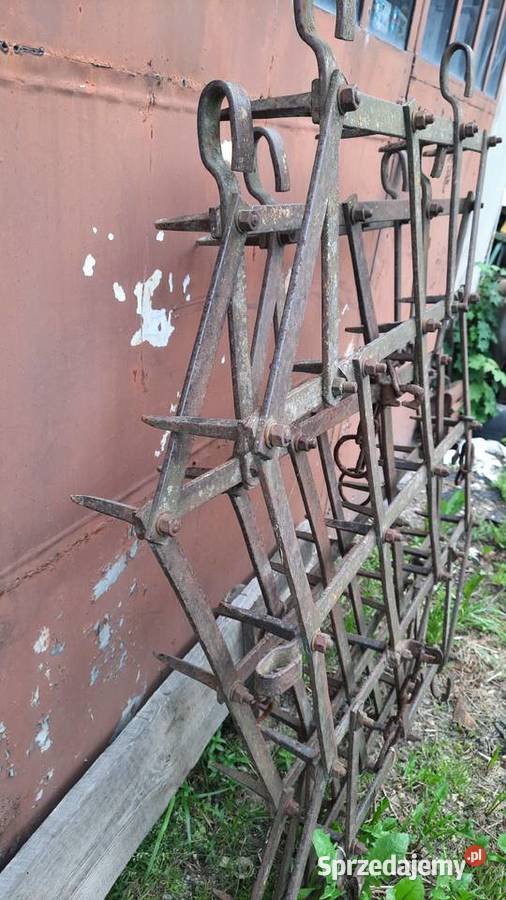 Brony 3 polowe Średnie podkarpackie Jarosław