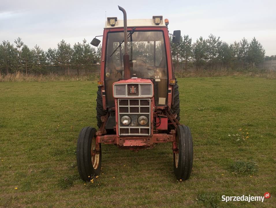 International 685 wielkopolskie Buk