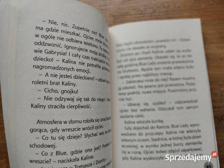 W siodle Plan Kaliny Maja A Ozga Kraków