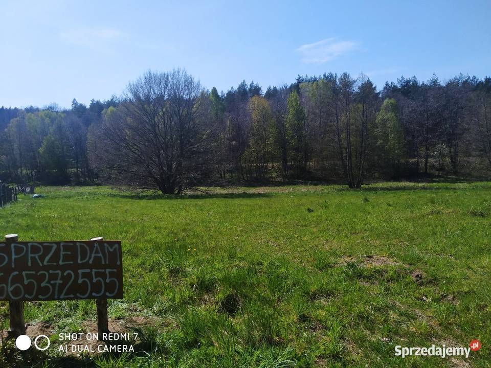 Działka Tadzino gmina Gniewino