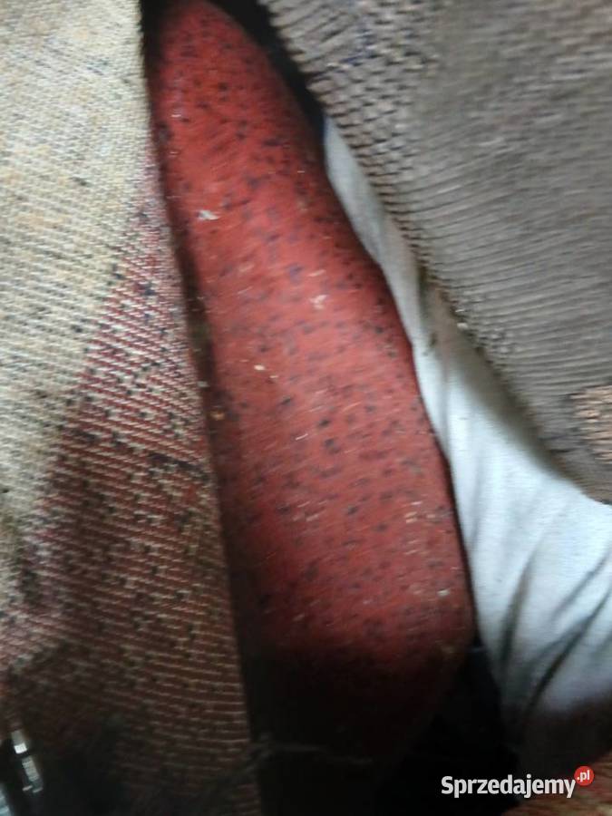 Oddam dywany Słucz sprzedam