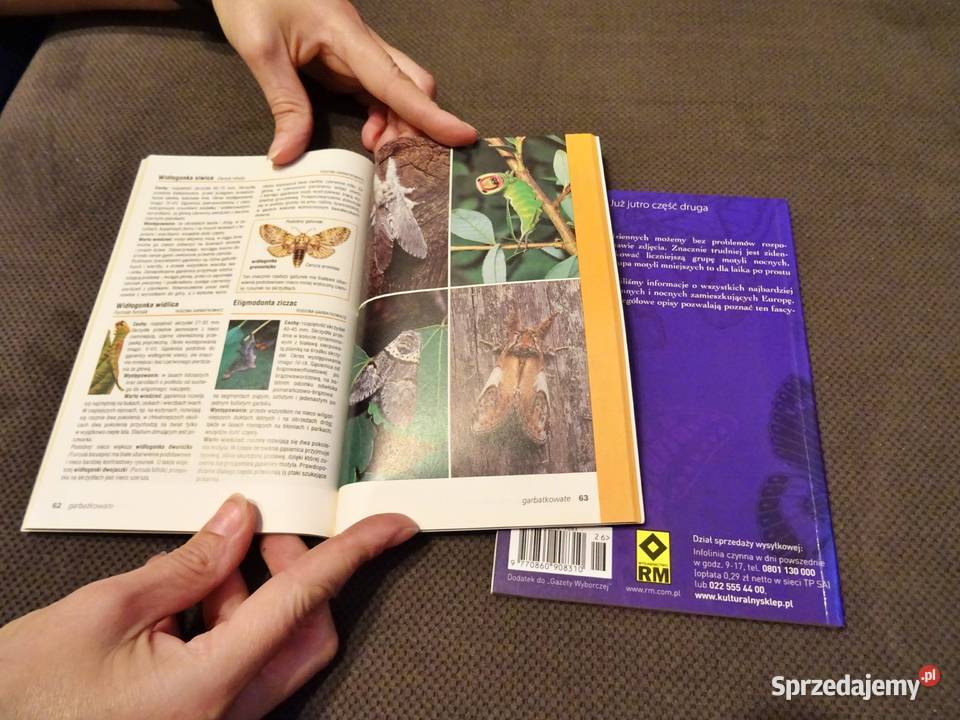 Atlas motyli Część 1 i 2 Heiko Bellmann Rok wydania 2011 śląskie Częstochowa