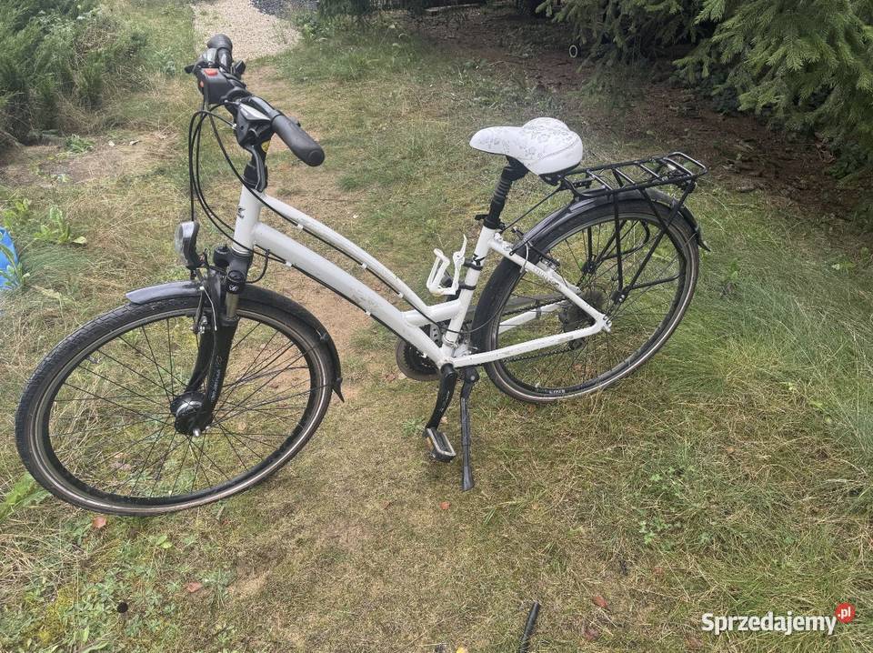 Rower Cossack Design damka Tuczno