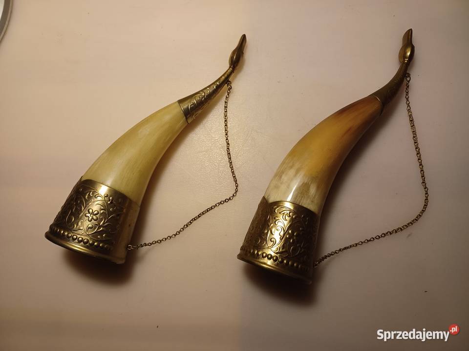 Piękny róg okuty mosiądzem