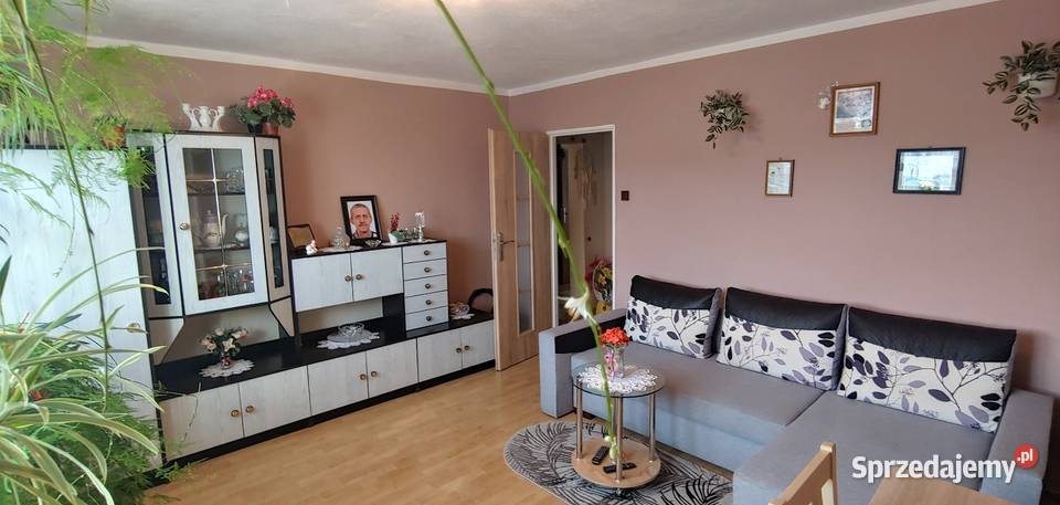 Mieszkanie na sprzedaż Kusice 3 pokoje z Nieruchomości