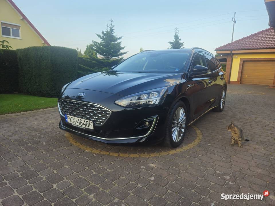 VIGNALE Bezwypadkowy Serwis Zadbany BO ACC HuD 1499cm3 Focus Focus sprzedam