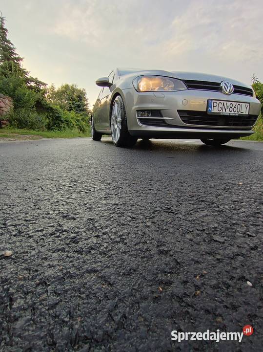 Golf 7 CD wielkopolskie Niechanowo