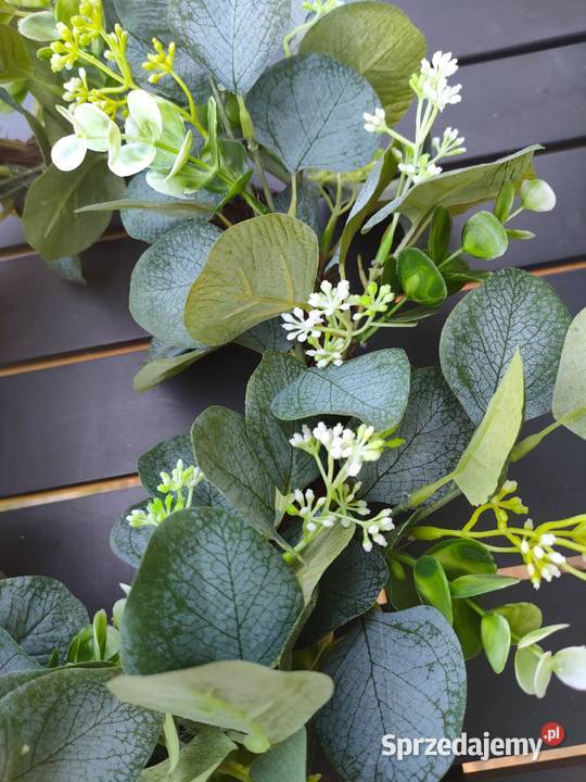 Wianek sztuczny eukaliptus na drzwi Warszawa