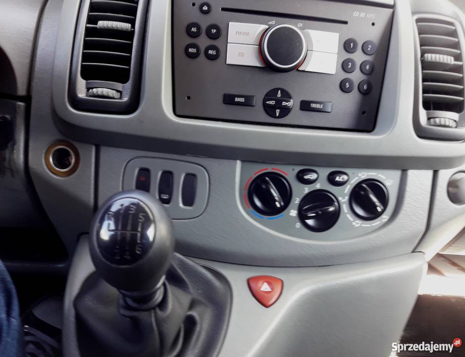 Opel Vivaro Westfalia stan wielkopolskie