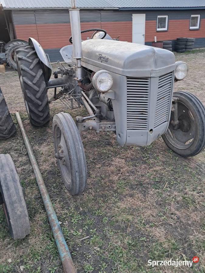 Ferguson TEA Gniewkowo sprzedam