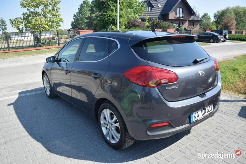 Kia Ceed 14B Navi Kamera 2014r Oryginał lakier serwisowany w ASO Samochody osobowe Majdan Sieniawski