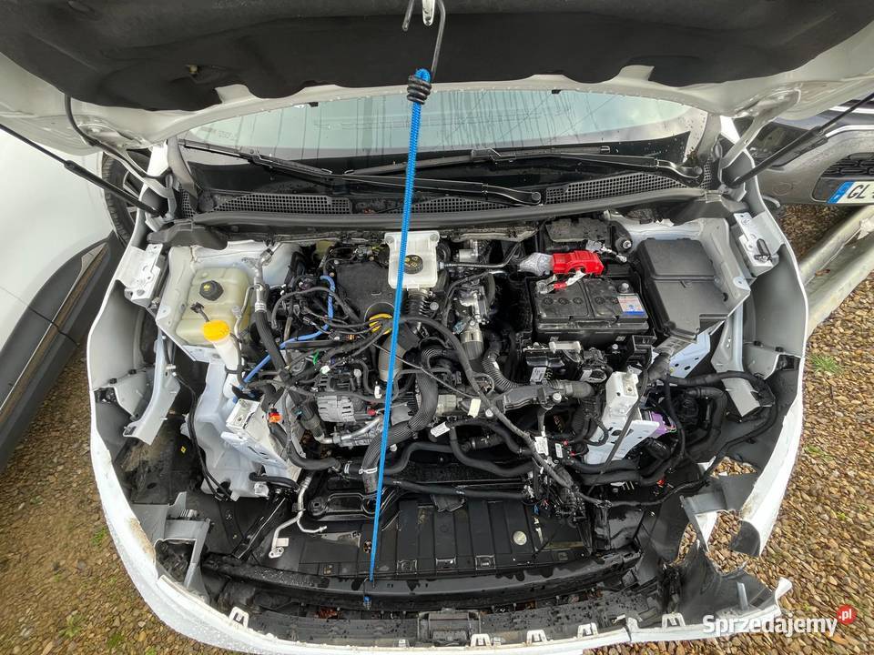 RENAULT Kangoo VP III 15 BlueDCi 115 Techno Rok produkcji 2023 opolskie Opole