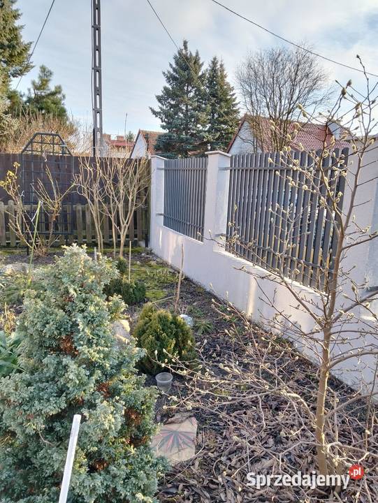 Dom w mieście Olsztyn na sprzedaż