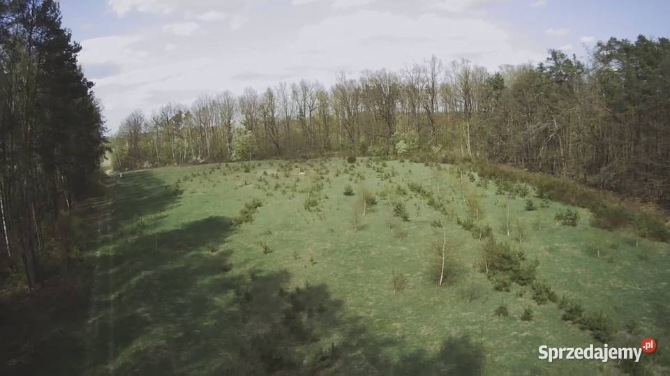 Działka budowlana 1000M2 WZ BRZÓZA