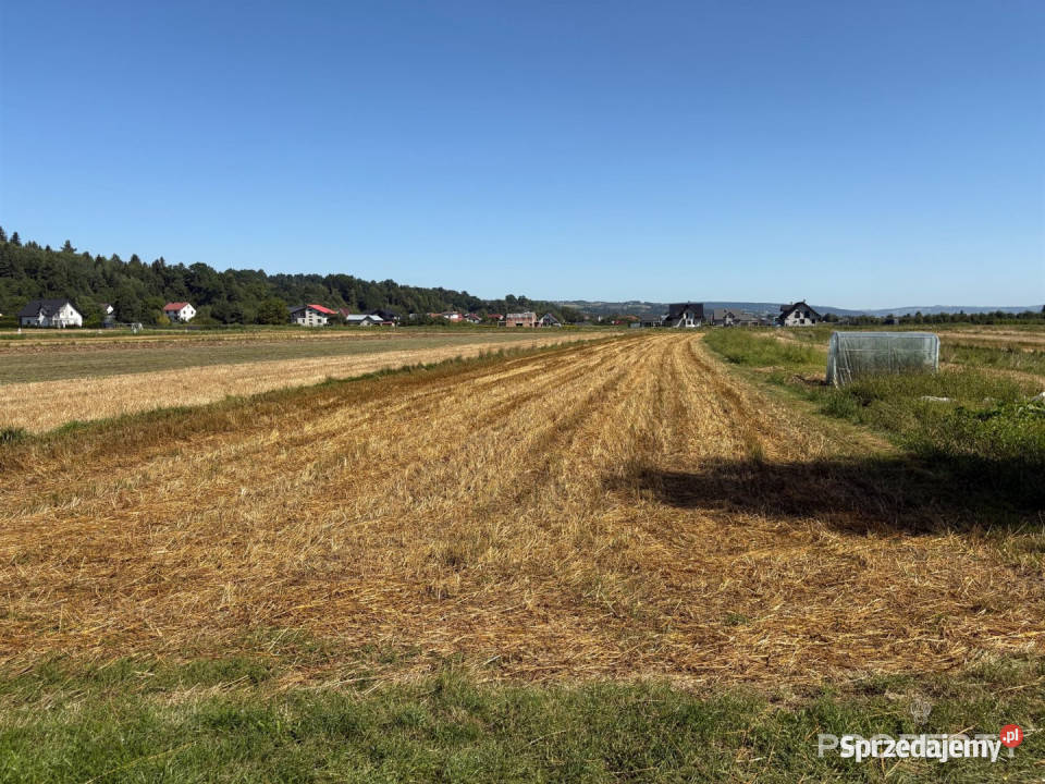 Sprzedam działka Podegrodzie 2700 metrów 2700m2