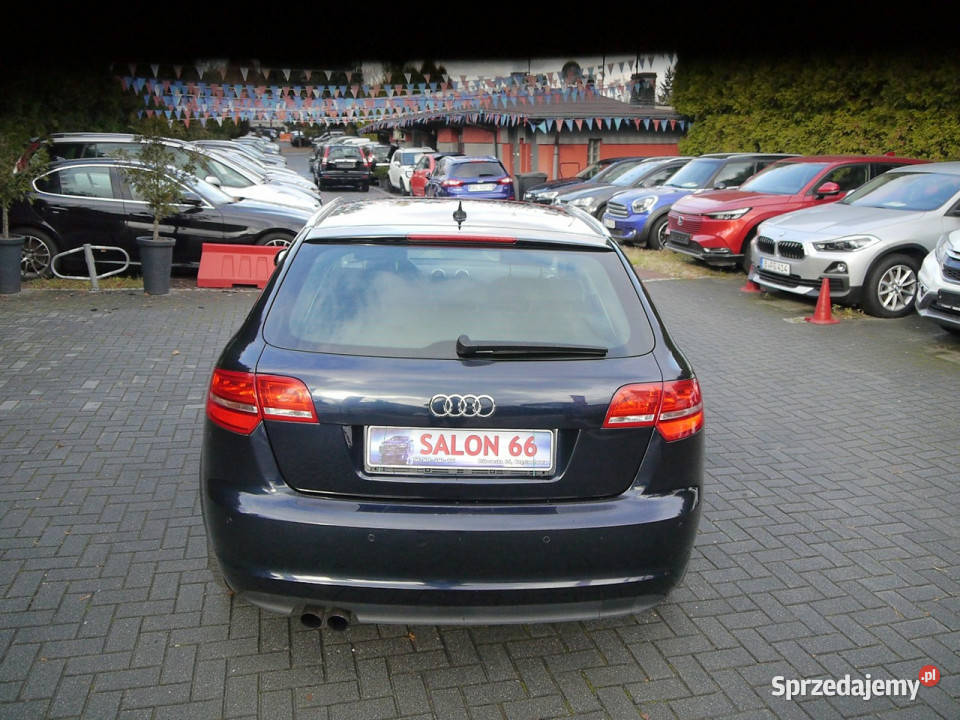 Audi A3 18 Qattro Led Xenon Bezwypadkowy Stan z wielofunkcyjna kierownica Częstochowa