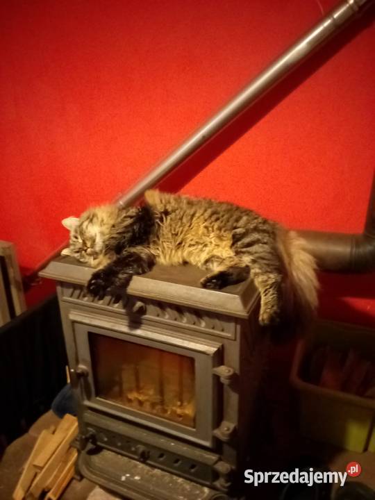 piec żeliwny KAWMET 6 kW KOZA