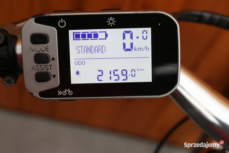 Rower elektryczny Flyer D 45I inne rowery Milanówek sprzedam