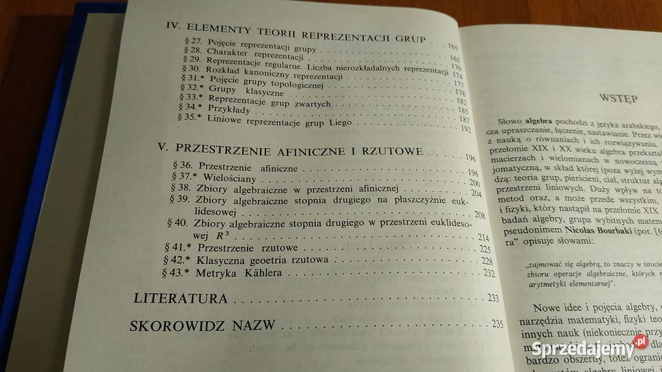 Algebra z geometrią fizyków Lech Górniewicz Książki naukowe i popularnonaukowe