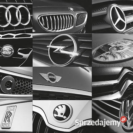 PROFESJONALNY WYNAJEM TESTERA DIAGNOSTYCZNEGO Interfejsy diagnostyczne Sulechów sprzedam