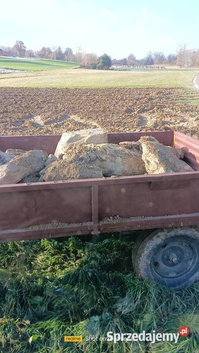 Kultywator dłutowy bezorkowy Agrolift JUMPER Maszyny rolnicze Bychawa