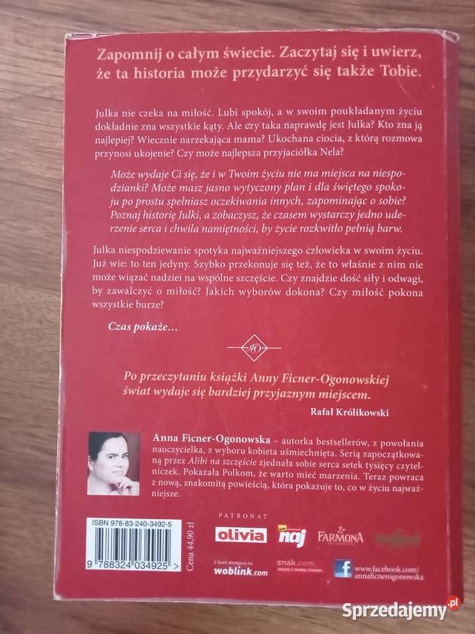 Alibi na szczęscie Anna Ficner Ogonowska