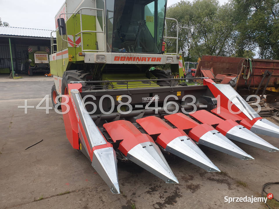 Przystawka do kukurydzy TECNOMAIS 5 rzędowa Gołaczewy