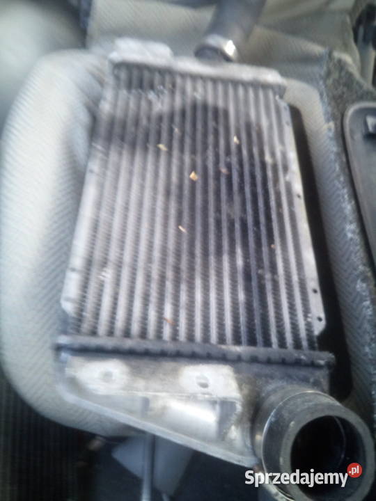 Grand Vitara na części Słońsk