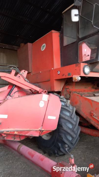 BIZON Z056 Jałowęsy sprzedam