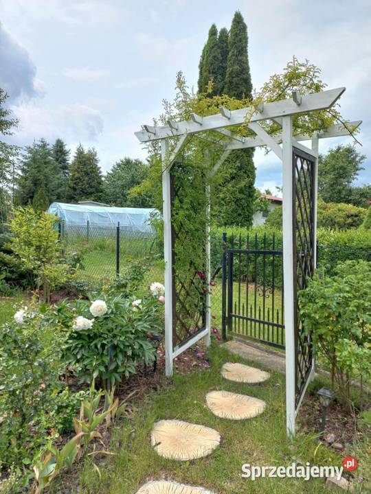 Dzialka ROD Bernatówka64 Dys