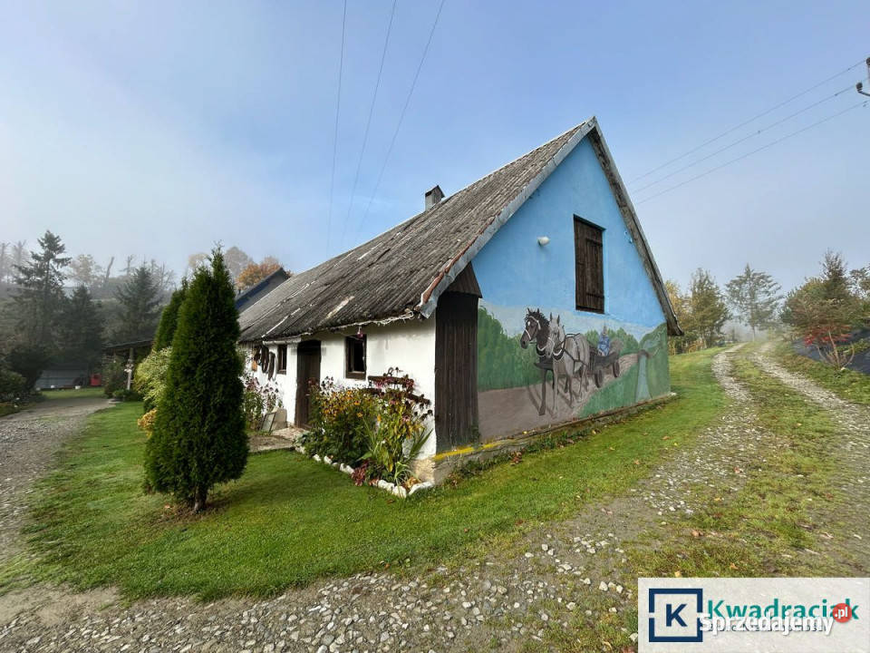 Lokal 330m2 Brzegi Dolne