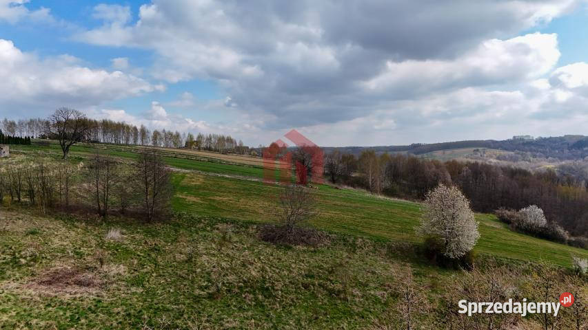 Działkę sprzedam Granice 1700m2 30m podkarpackie