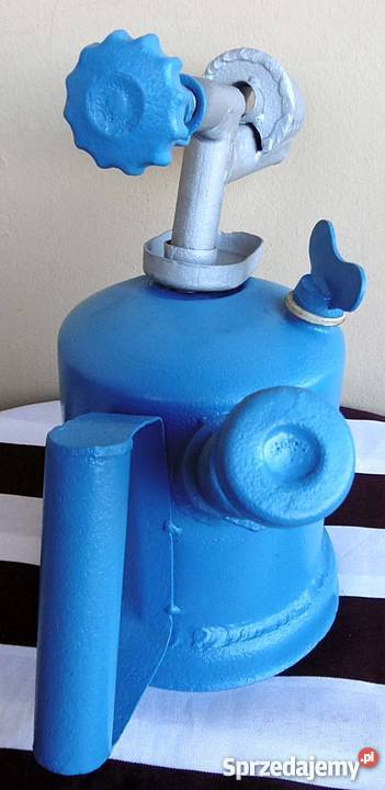 Lutlampa niebieska odnowieniu