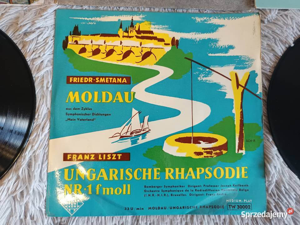 Winyl Winyle Płyta winylowa Płyty Winylowe 10 Białobrzegi