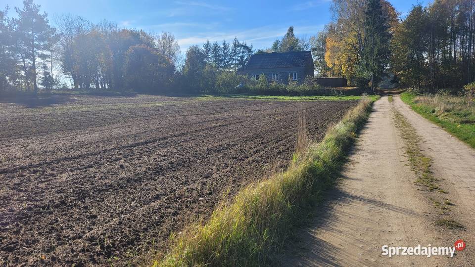 2 działki budowlane w Donimierzu k Szemuda Donimierz