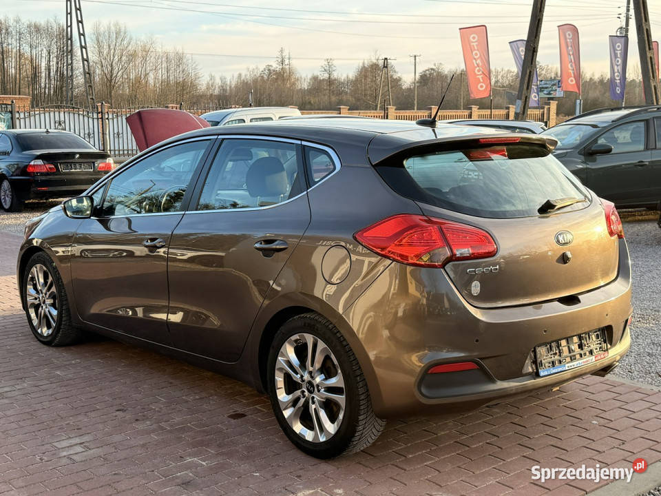 Kia Ceed Gwarancja Automat Super Wypas Xenon Sade Budy