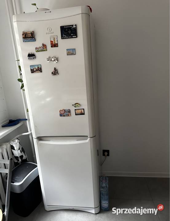 Lodówka ChłodziarkoZamrażarka Indesit BAAN 13L Bełchatów sprzedam