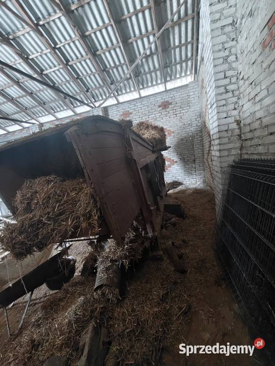 Lubelka młocarnia do zboża sprzedam