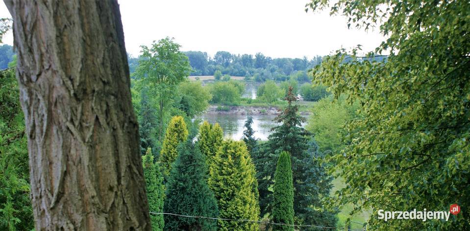 Działki budowlane 9700m2 kZakroczymia 60 m2 Wygoda Smoszewska