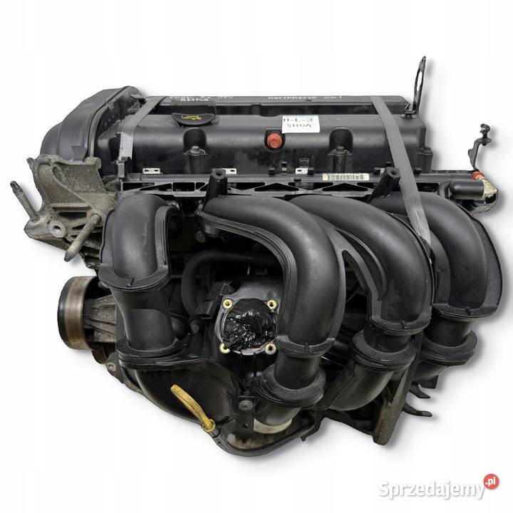 SILNIK SHDA SHDB Ford Focus II MK2 C C 16 16V Chełm