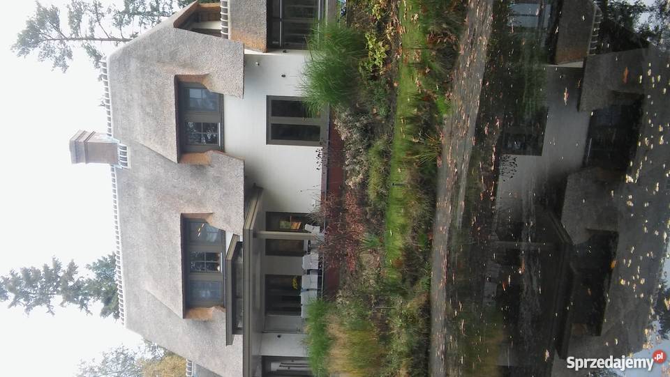 Dachy trzcinowe trzcina remont renowacja starych