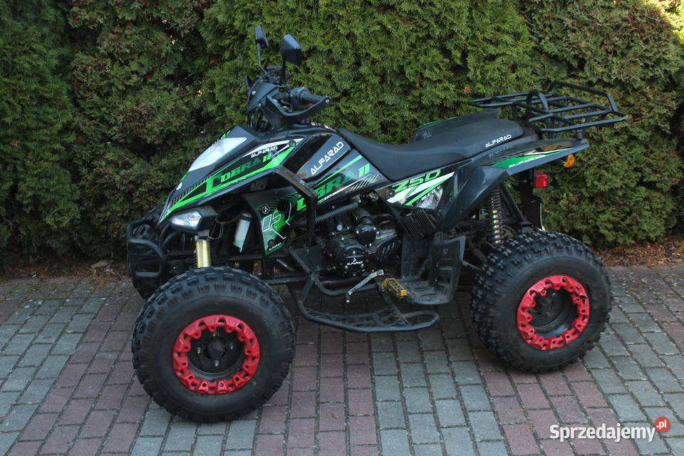 Quad 250 Cobra II 2021 przebieg 420 zachodniopomorskie Goleniów sprzedam