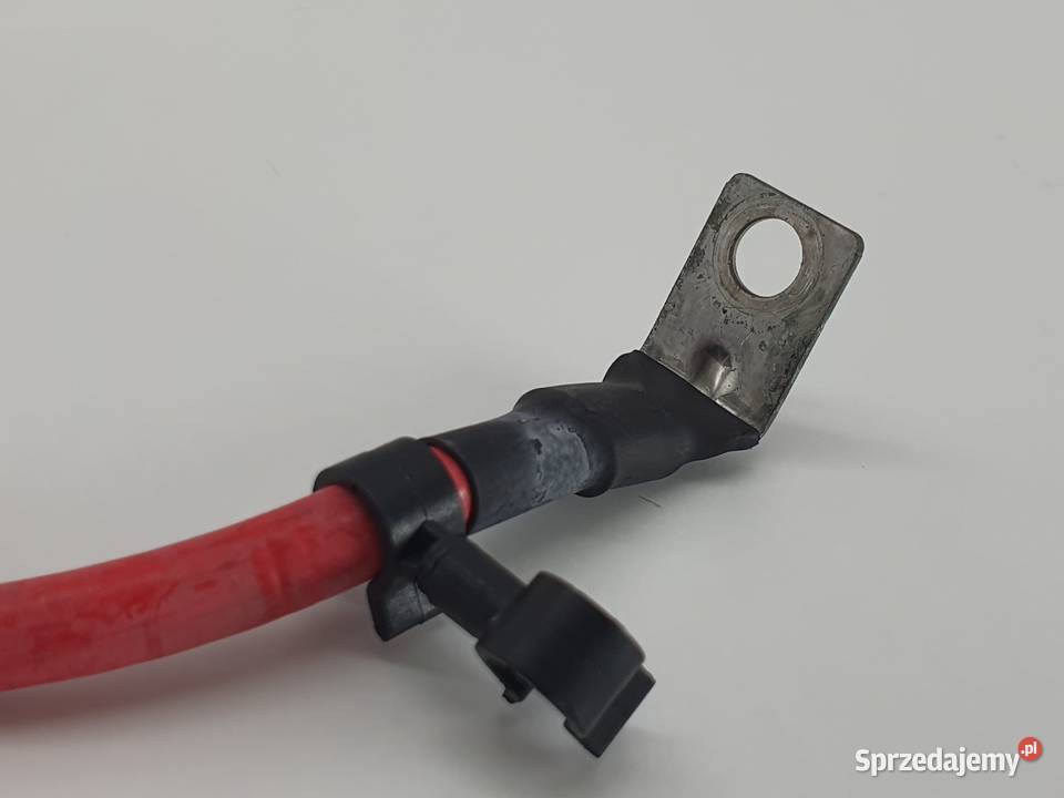 PRZEWOD PLUSOWY KABEL PEUGEOT EVIVACITY Wiązki elektryczne Janowice