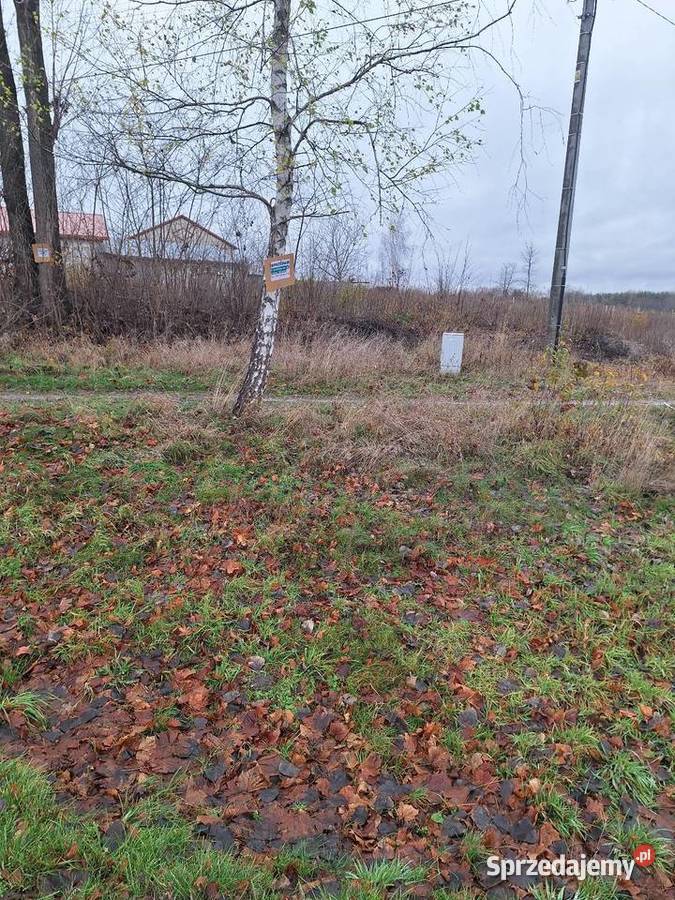 Działkę sprzedam Budzyń Przytyki sprzedam