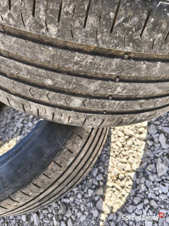 2x Opony letnie 20555 R16 Continental lato świętokrzyskie sprzedam