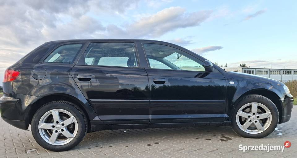 Audi a3 8p Sportback 19tdi 105 2007 Chełmno