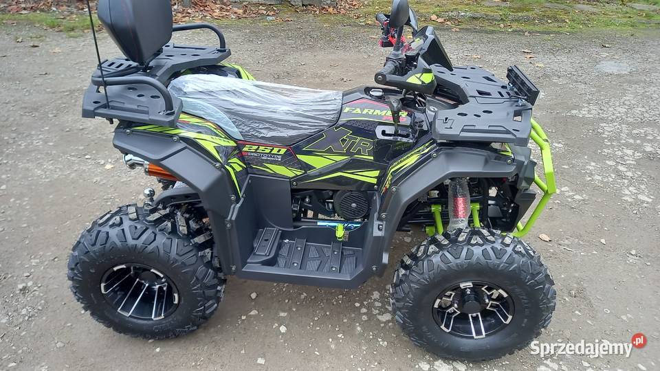 Quad 250 farmer x1 atv250cc Jasło