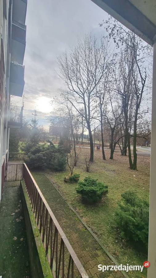 Wynajmę Mieszkanie 3 Pokoje Centrum Dąbrowa Liczba pokoi 3 Siewierz