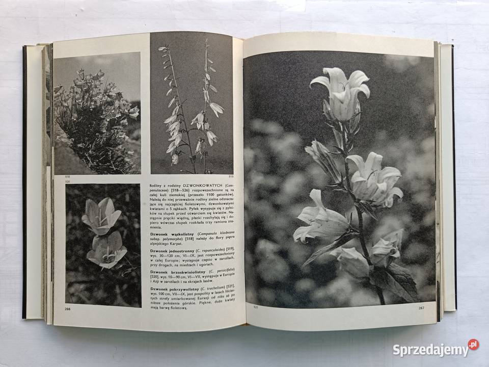 Wielki Atlas Zwierząt Ptaków Ryb Roślin i Owadów twarda z obwolutą Gdynia